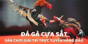 đá gà cựa sắt